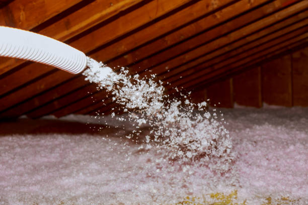 Best Insulation Maintenance and Repair in Clinton, IL