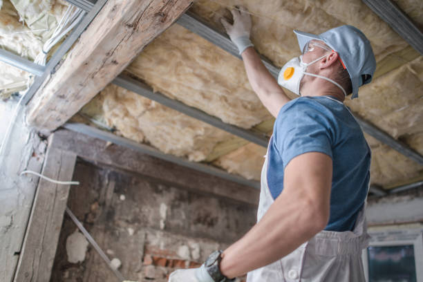 Best Residential Insulation in Clinton, IL