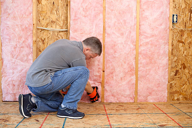 Best Energy Efficiency Solutions in Clinton, IL