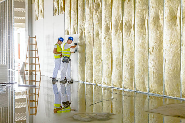 Best Energy Efficiency Solutions in Clinton, IL